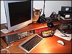 DSCF2572.JPG