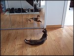 DSCF2573.JPG
