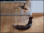DSCF2574.JPG