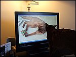 DSCF2582.JPG