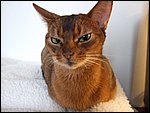 DSCF2583.JPG