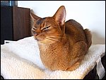 DSCF2584.JPG