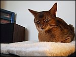 DSCF2585.JPG