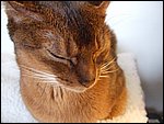 DSCF2586.JPG
