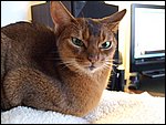 DSCF2587.JPG