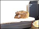 DSCF2588.JPG