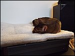 DSCF2589.JPG