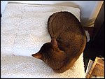 DSCF2590.JPG
