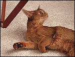 DSCF2595.JPG