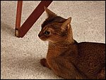 DSCF2596.JPG