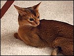 DSCF2597.JPG