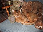 DSCF2598.JPG