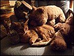 DSCF2599.JPG