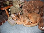 DSCF2600.JPG