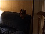 DSCF2612.JPG