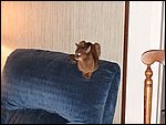 DSCF2613.JPG