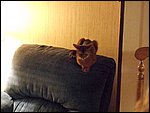 DSCF2614.JPG