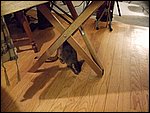 DSCF2617.JPG