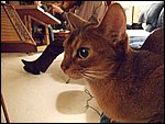 DSCF2624.JPG