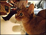 DSCF2625.JPG