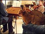 DSCF2626.JPG