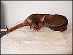 DSCF2629.JPG
