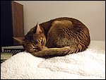 DSCF2630.JPG