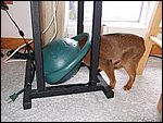 DSCF2631.JPG