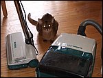 DSCF2634.JPG