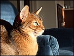 DSCF2635.JPG