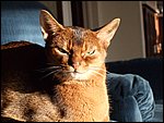 DSCF2636.JPG