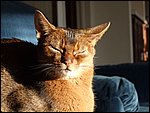 DSCF2637.JPG
