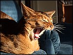 DSCF2638.JPG