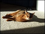 DSCF2640.JPG
