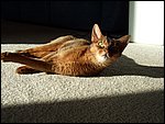 DSCF2641.JPG