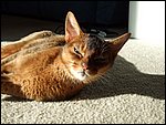 DSCF2642.JPG