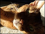 DSCF2643.JPG
