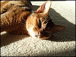 DSCF2644.JPG