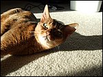 DSCF2645.JPG