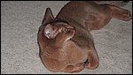 SANY0126.JPG