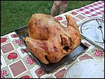 DSCF1731.JPG