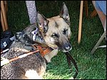 DSCF1779.JPG