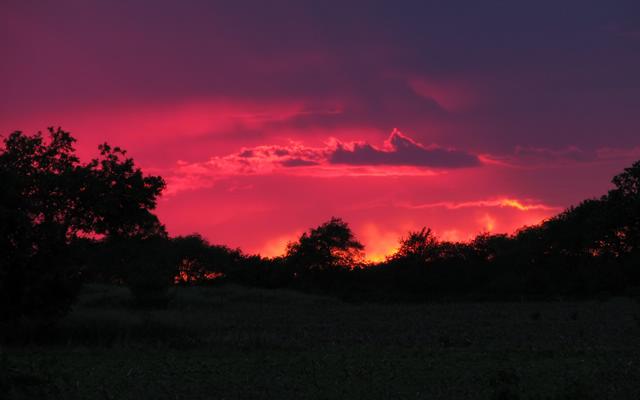 IMG_1020_processed.jpg