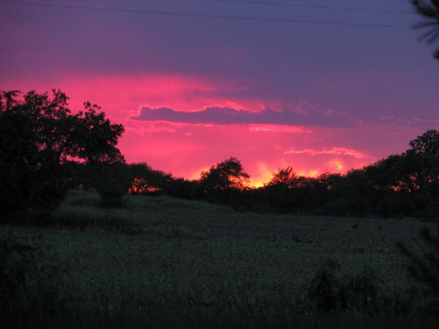 IMG_1021.JPG