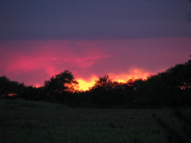 IMG_1025.JPG