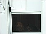 DSCF1519.JPG