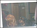 DSCF1521.JPG