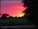 IMG_1011.JPG