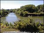 P9110005.JPG